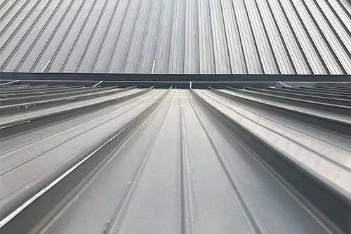 教育類(lèi)項(xiàng)目——東華大學(xué)屋面